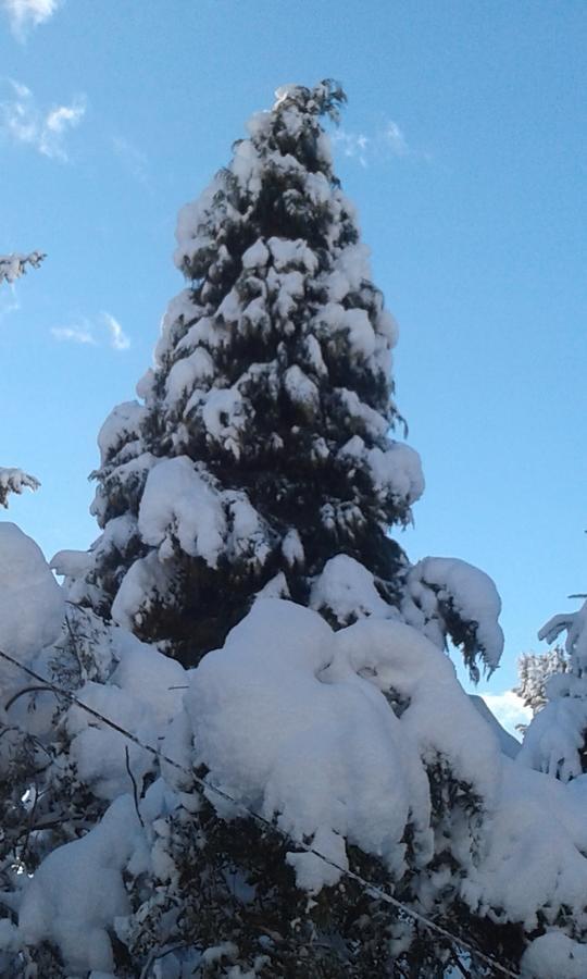La Inesita San Carlos de Bariloche